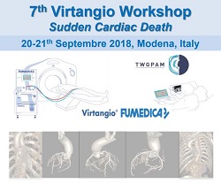 7th Virtangio Workshop